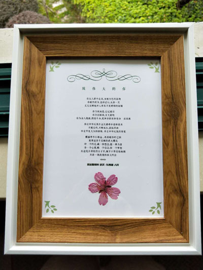 櫻花.jpg